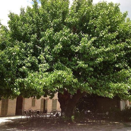 Vittoria Il Graditempo Country House Guest House Rosora Exterior photo